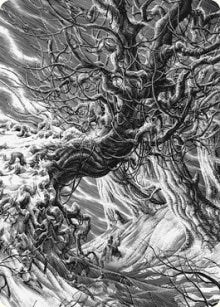 Forest Art Card (81) (ASVOW)