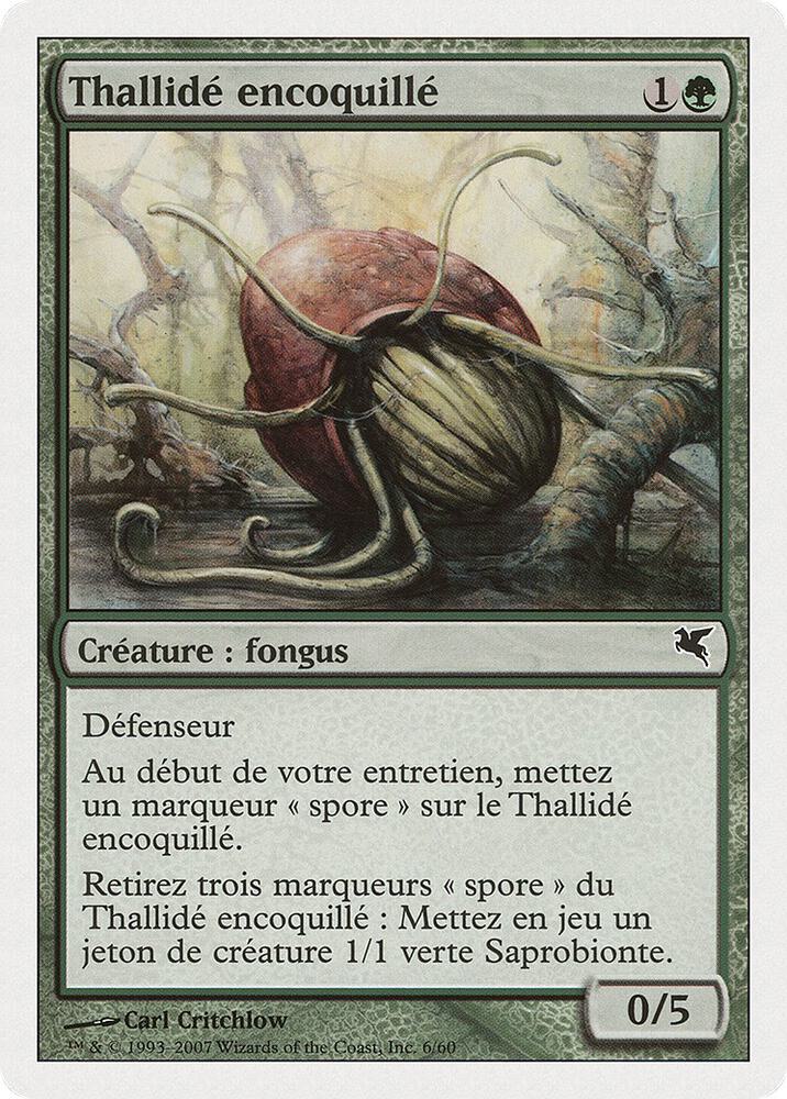 Thallid Shell-Dweller (French) - "Thallidé encoquillé" (J6) (J6) (PSAL)