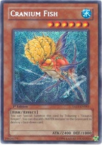 Cranium Fish (TAEV-EN083) (TAEV)