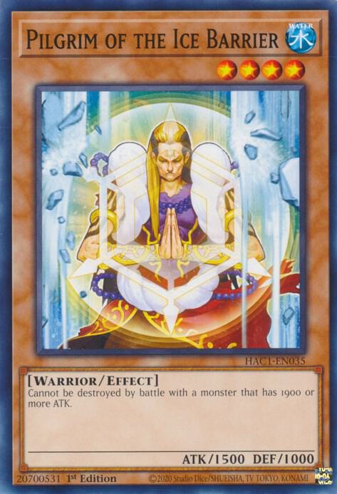 Pilgrim of the Ice Barrier (HAC1-EN035) (HAC1)