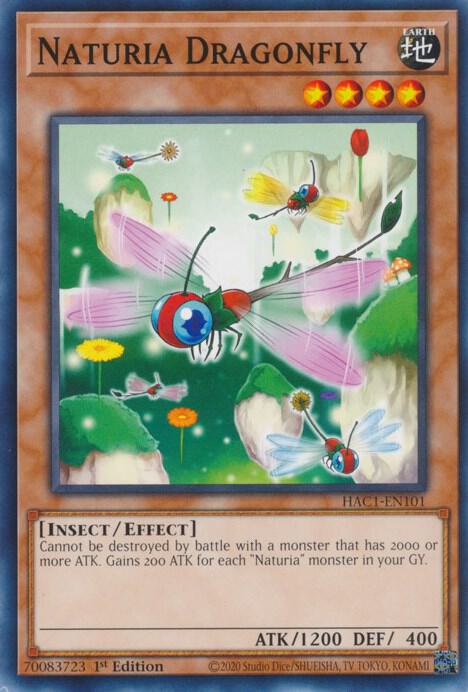 Naturia Dragonfly (HAC1-EN101) (HAC1)