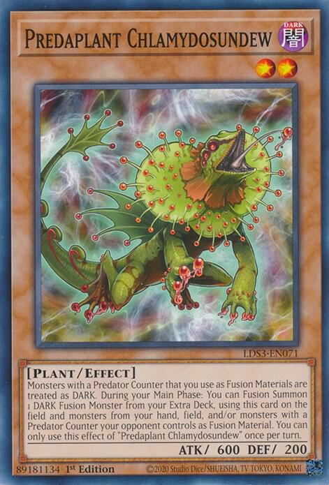Predaplant Chlamydosundew (LDS3-EN071) (LDS3)