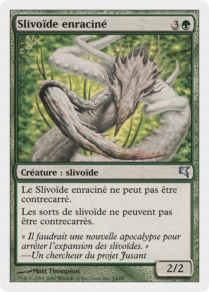 Root Sliver (French) - "Slivoïde enraciné" (D14) (PSAL)