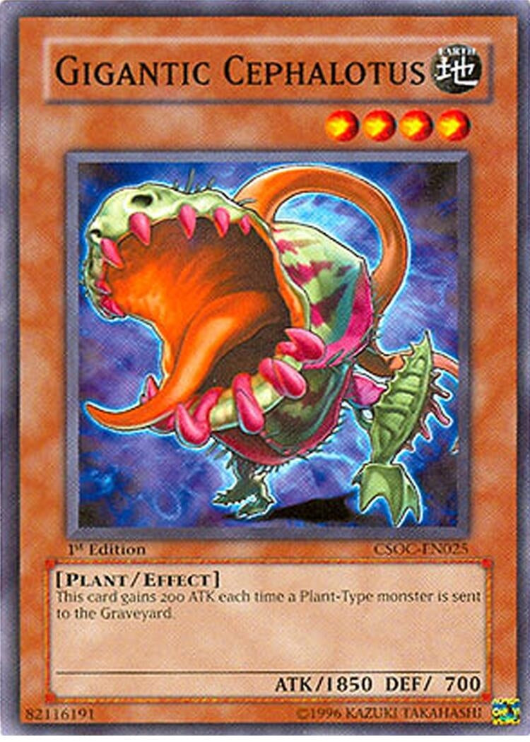 Gigantic Cephalotus (CSOC-EN025) (CSOC)
