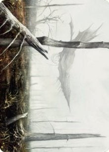 Swamp Art Card (64) (ASDMU)