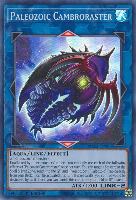 Paleozoic Cambroraster (MP22-EN088) (MP22)