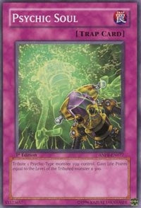 Psychic Soul (ANPR-EN077) (ANPR)
