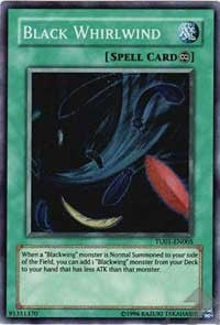 Black Whirlwind (TU01-EN005) (TU01)