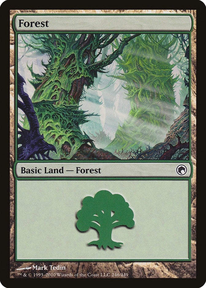 Image for Forest (246) (246) (SOM) - Magic: The Gathering