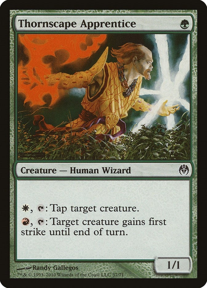 Image for Thornscape Apprentice (37) (DDE) - Magic: The Gathering
