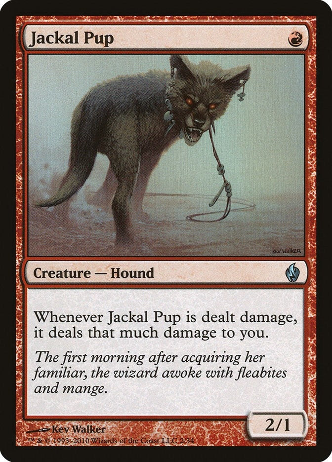Jackal Pup (2) (PD2)