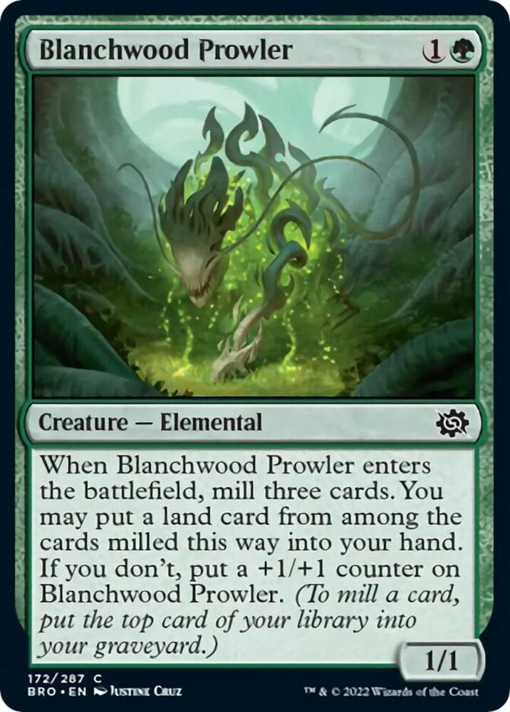 Blanchwood Prowler (172) (BRO)