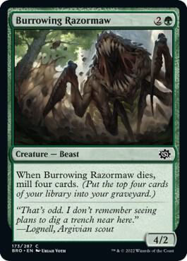 Burrowing Razormaw (173) (BRO)