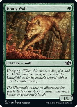 Young Wolf (746) (J22)
