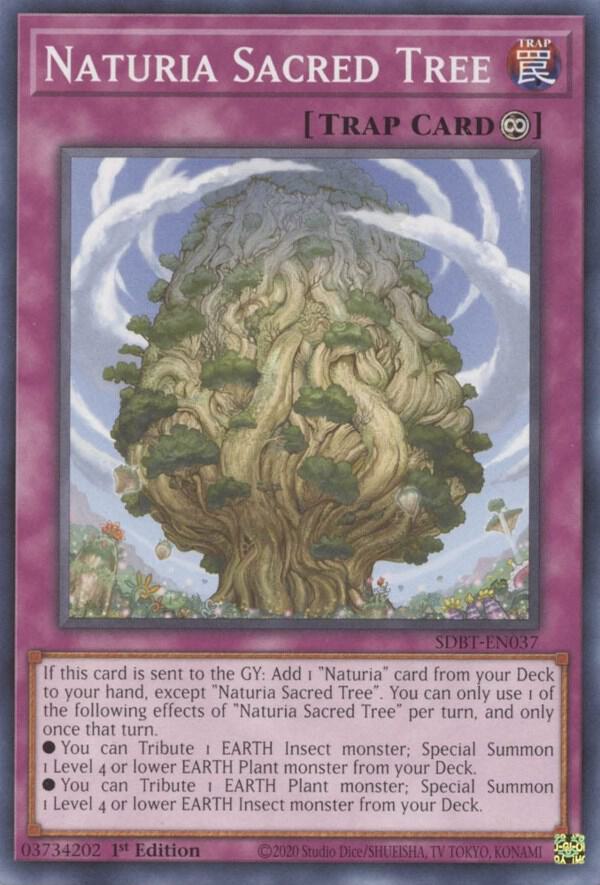 Naturia Sacred Tree (SDBT-EN037) (SDBT)