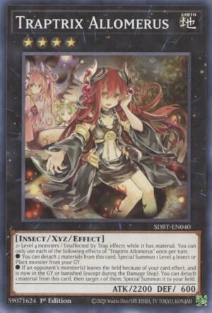 Traptrix Allomerus (SDBT-EN040) (SDBT)