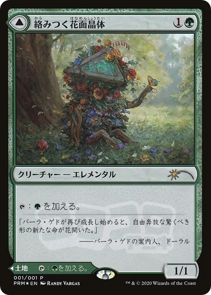 Tangled Florahedron (JP Magazine Insert) (1) (MEDIA)