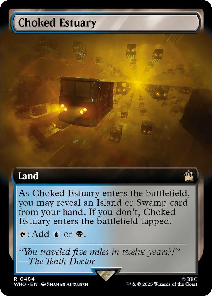 Choked Estuary (Extended Art) (484) (WHO)