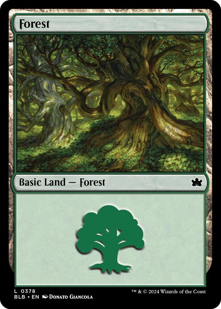 Forest (0378) (378) (BLB)