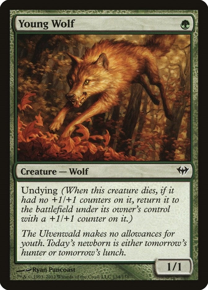 Young Wolf (134) (DKA)