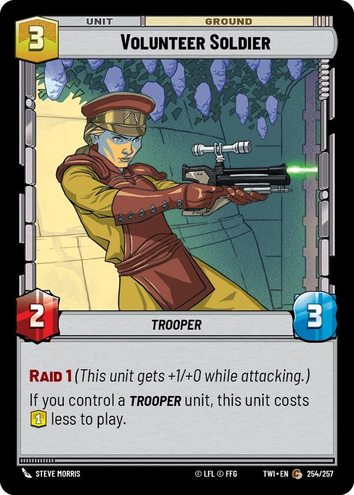 Volunteer Soldier (254/257) (TWI)