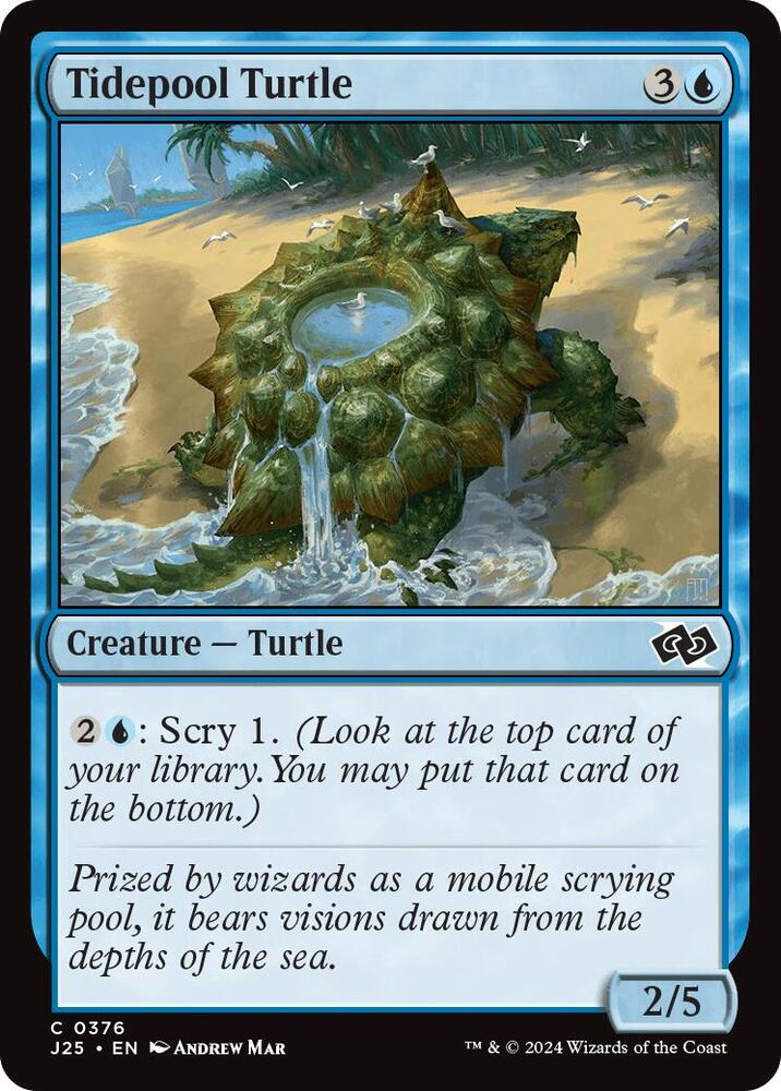 Tidepool Turtle (376) (J25)