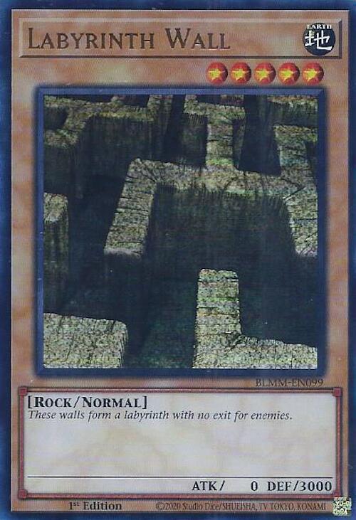 Labyrinth Wall (BLMM-EN099) (BLMM)