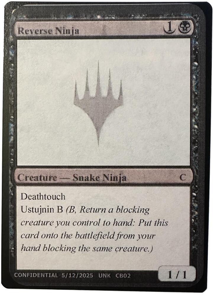 Reverse Ninja (UNK)