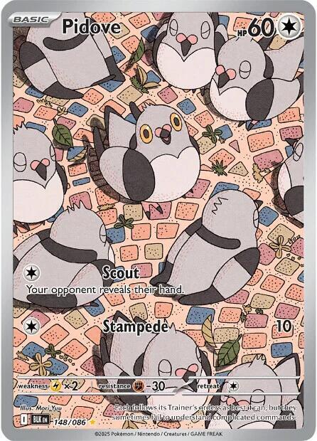 Pidove - 148/086 (148/086) (BLK)