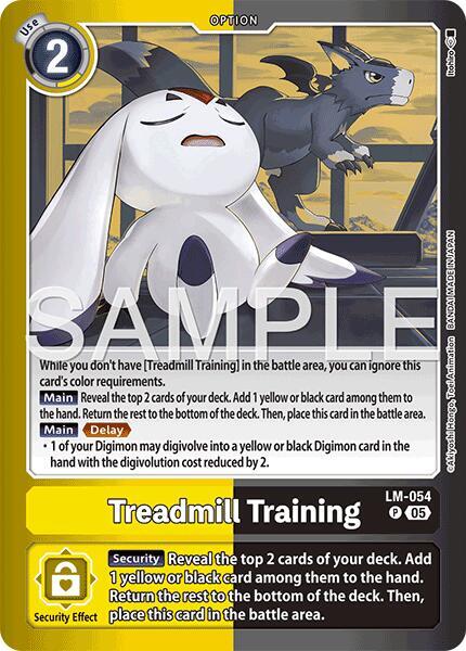 Treadmill Training (LM-054 P) (LM-07)