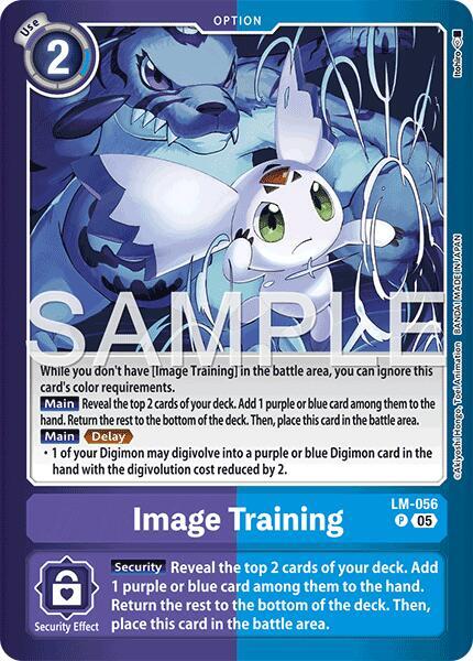 Image Training (LM-056 P) (LM-07)
