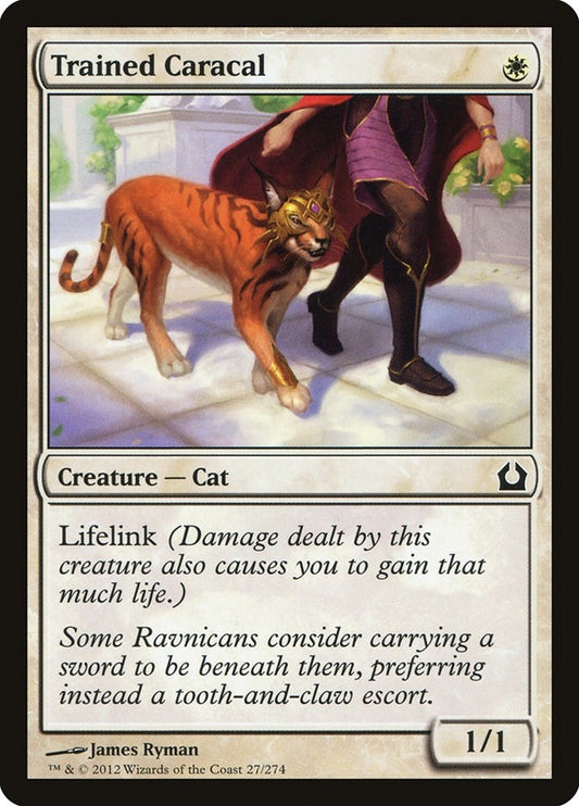 Image for Trained Caracal (27) (RTR) - Magic: The Gathering