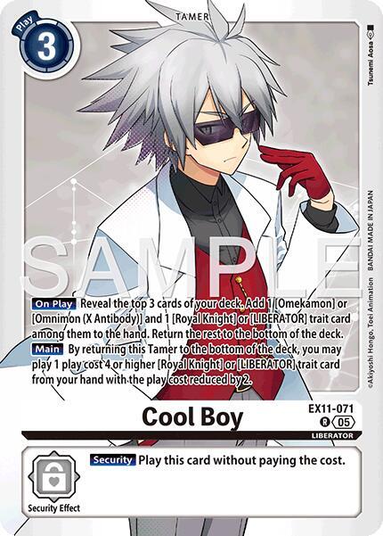 Cool Boy (EX11-071 R) (EX-11)