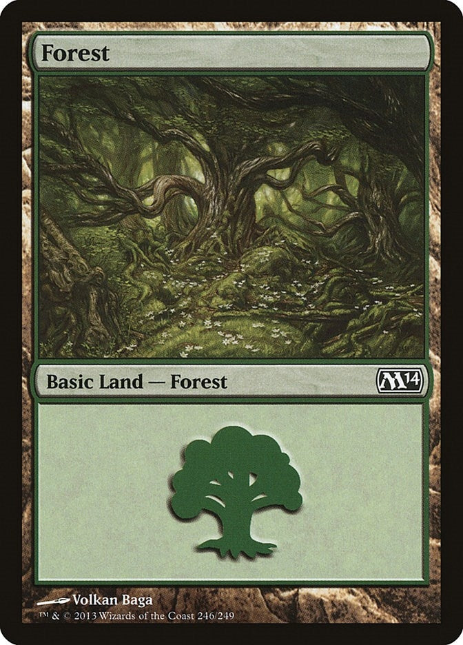 Forest (246) (246) (M14)