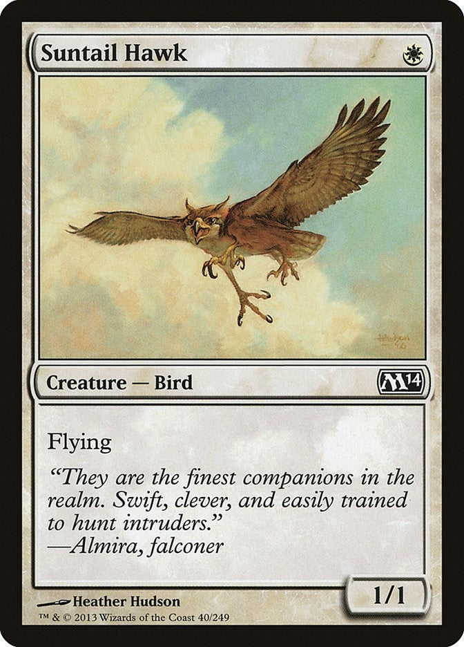 Suntail Hawk (40) (M14)
