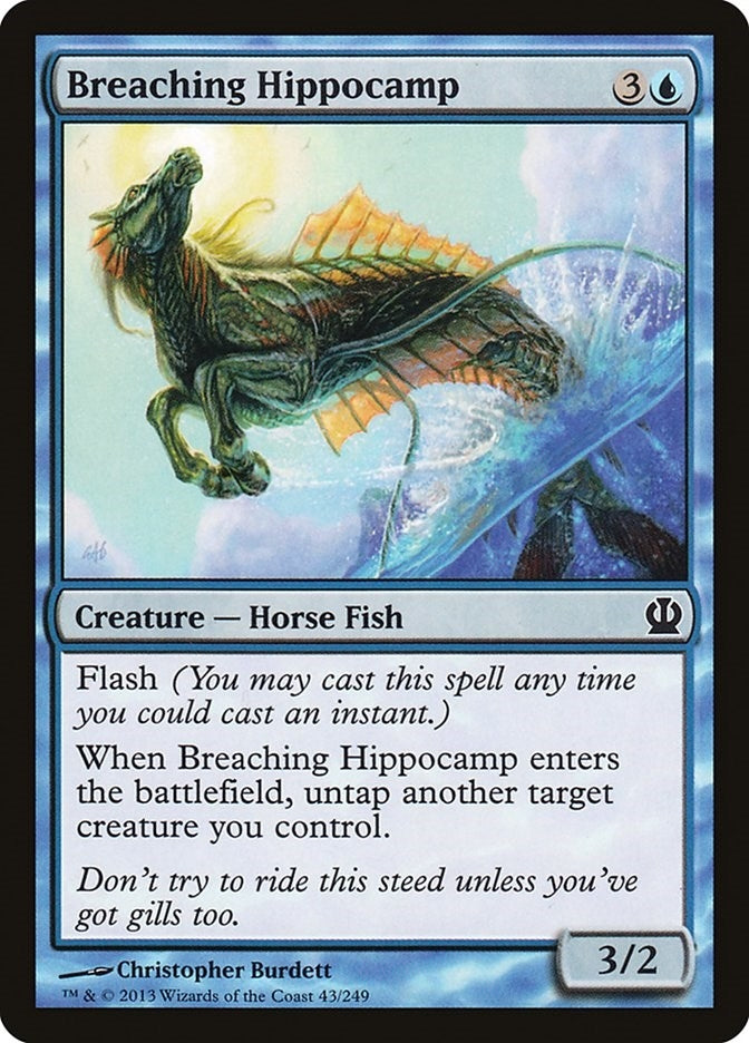 Breaching Hippocamp (43) (THS)