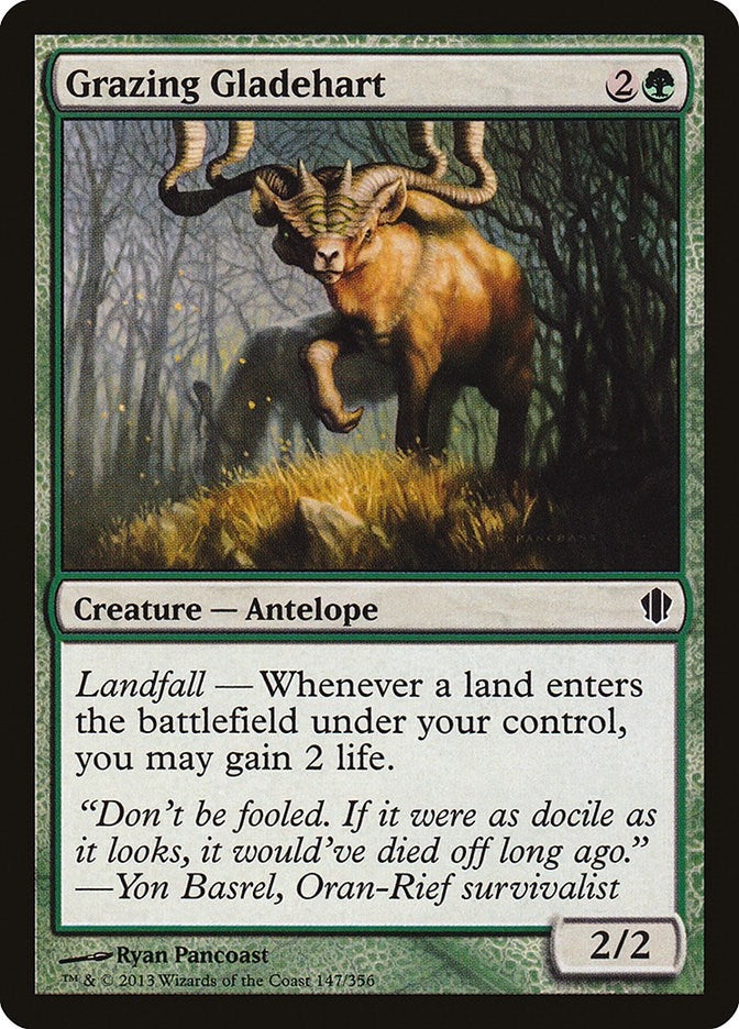 Grazing Gladehart (147) (C13)