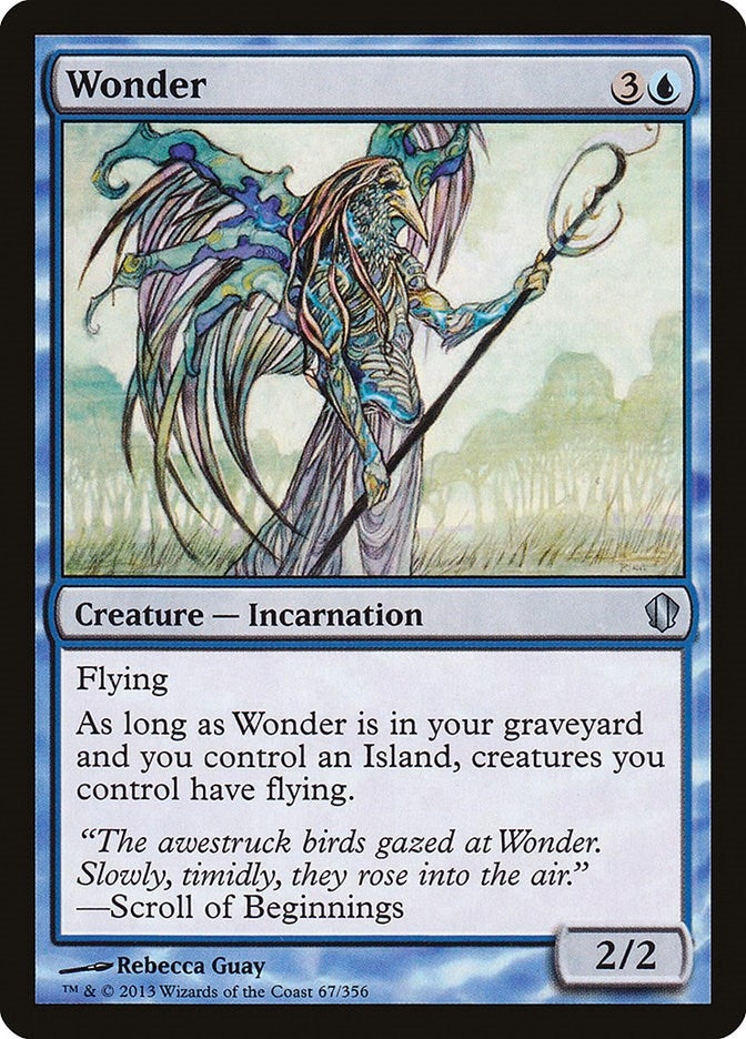 Wonder (67) (C13)