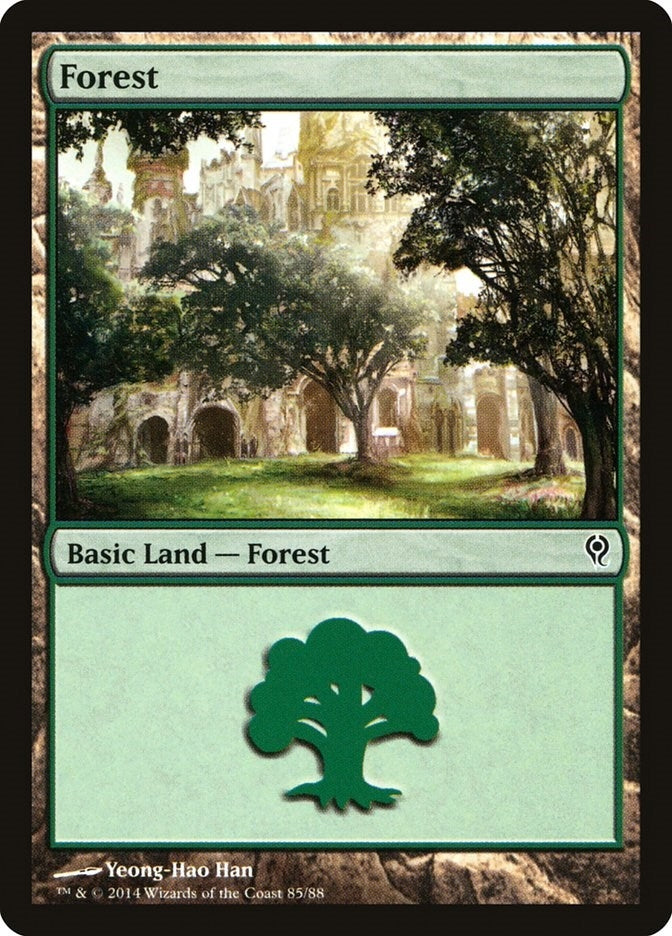 Image for Forest (85) (85) (DDM) - Magic: The Gathering
