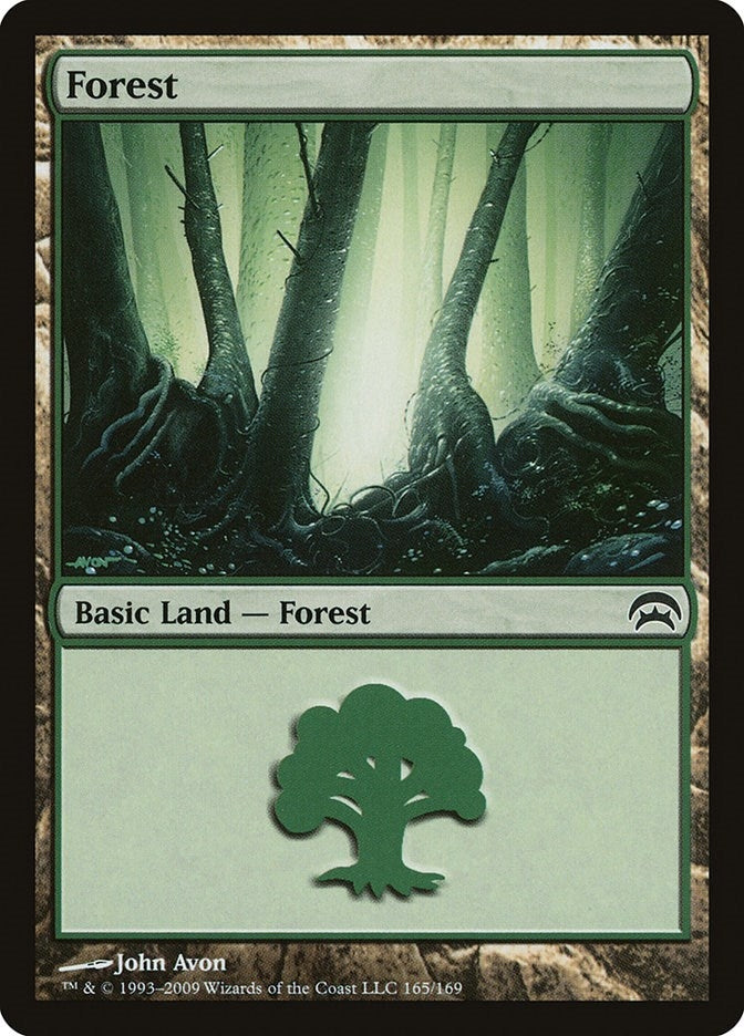 Image for Forest (165) (165) (HOP) - Magic: The Gathering