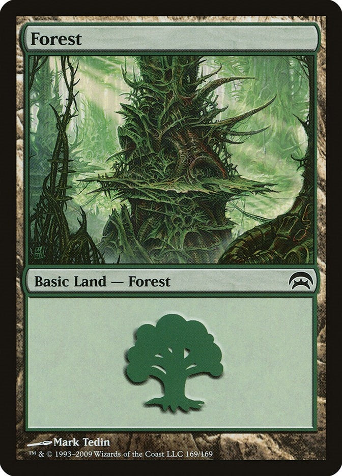 Image for Forest (169) (169) (HOP) - Magic: The Gathering