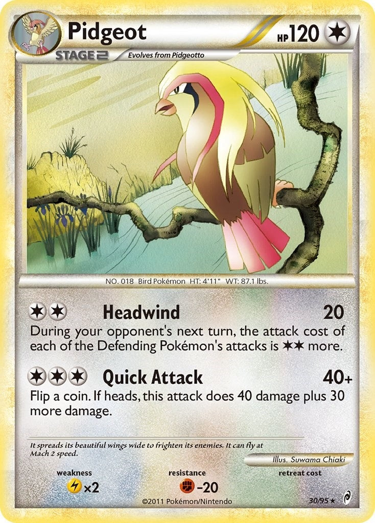 Pidgeot (30/95) (CL)