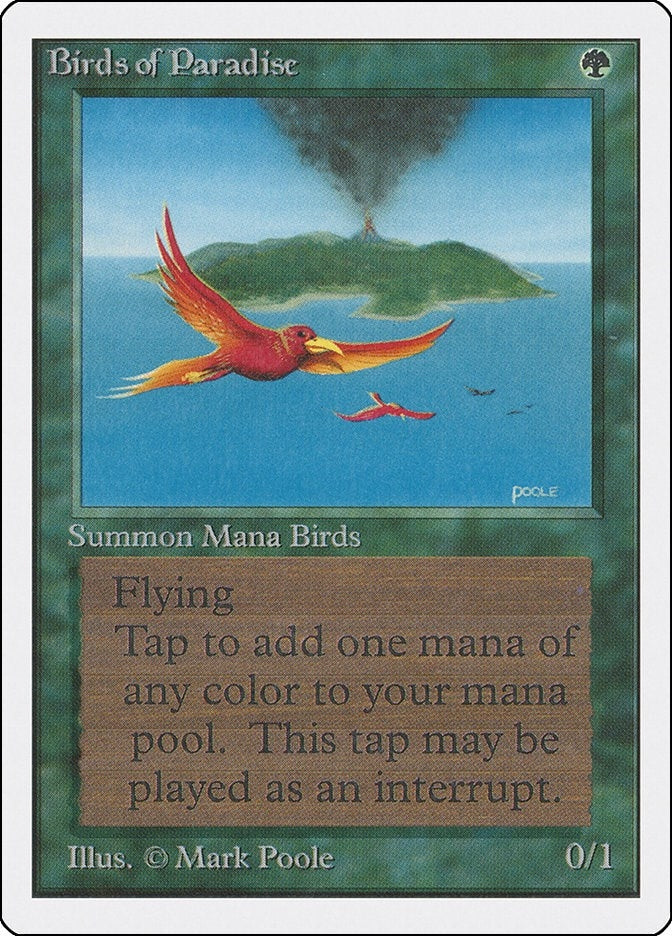 Birds of Paradise (2ED)
