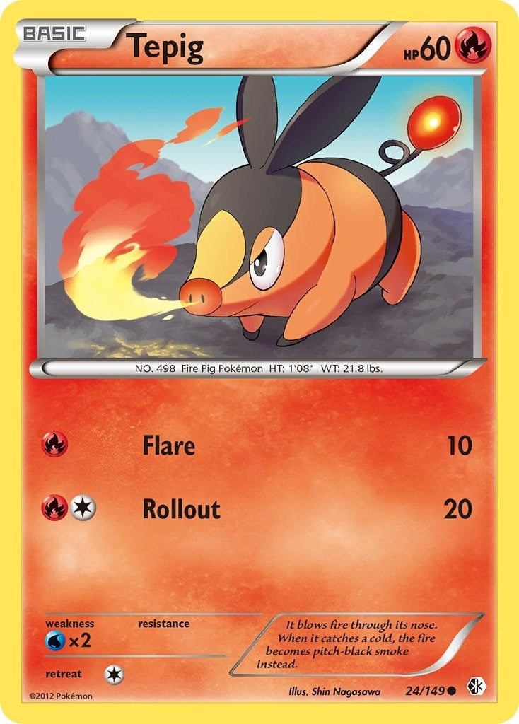 Tepig (24/149) (BCR)