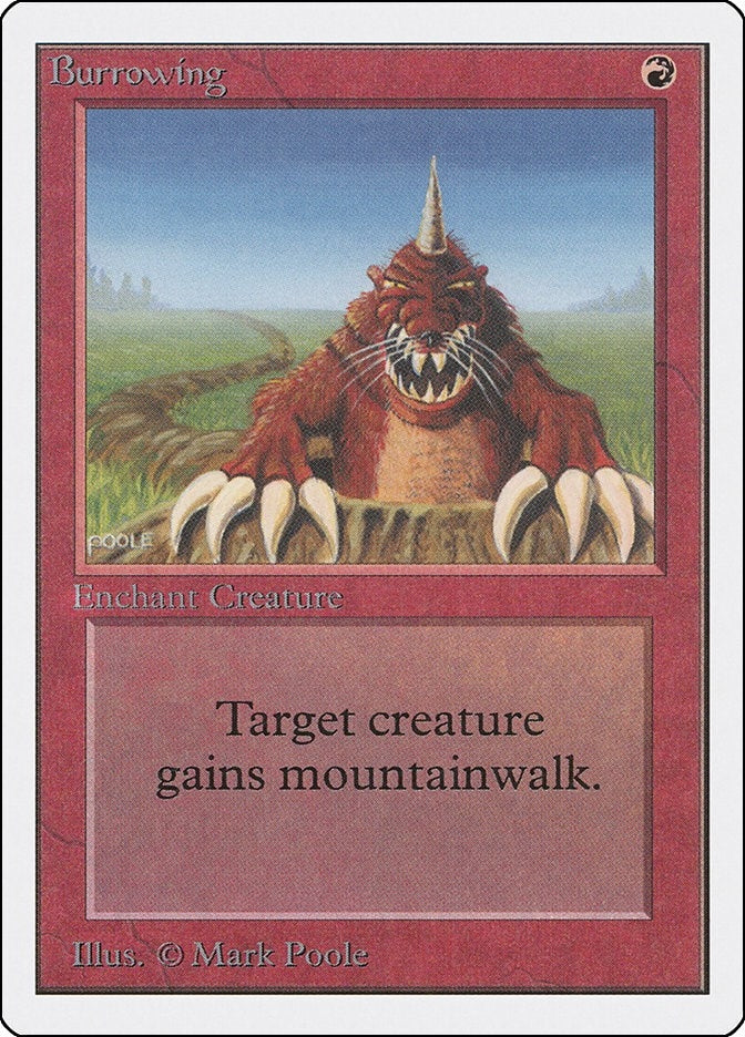 Burrowing (2ED)