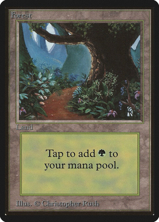 Image for Forest (B) (LEB) - Magic: The Gathering