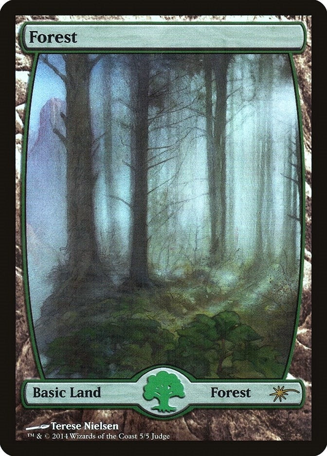Image for Forest - Full Art (5) (5) (JDG) - Magic: The Gathering