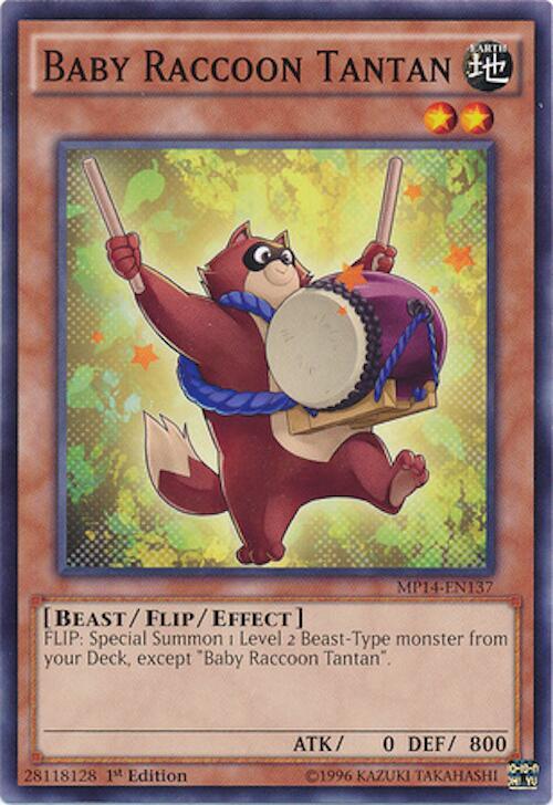 Baby Raccoon Tantan (MP14-EN137) (MP14)