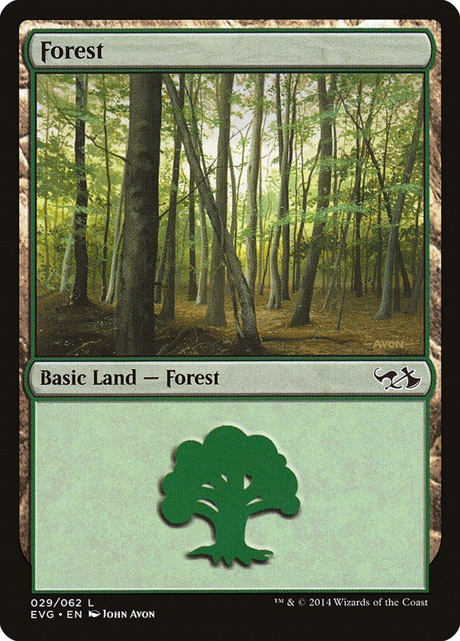 Forest (029) (EVG) (29) (DD3)