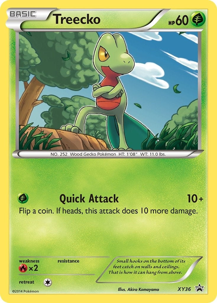 Treecko - XY36 (XY36) (PR)